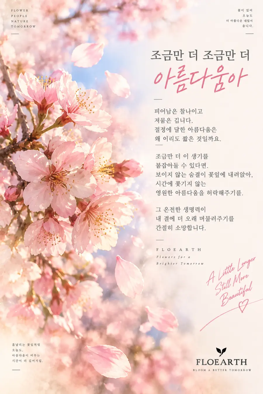 분홍 벚꽃과 설렘의 글이 담긴 FLOEARTH 플라워 카드